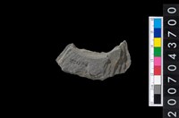 藏品(石環製作材料-旋截圓環粗胚殘件)的圖片