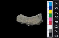 藏品(石環製作材料-旋截圓環粗胚殘件)的圖片