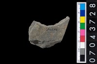 藏品(石環製作材料-旋截圓環粗胚殘件)的圖片