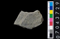 藏品(石環製作材料-旋截圓環粗胚殘件)的圖片