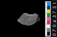 藏品(石環製作材料-旋截圓環粗胚殘件)的圖片