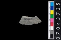 藏品(石環製作材料-旋截圓環粗胚殘件)的圖片