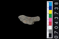 藏品(石環製作材料-旋截圓環粗胚殘件)的圖片