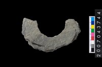 藏品(石環製作材料-周緣修整石環粗胚)的圖片