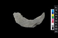 藏品(石環製作材料-周緣修整石環粗胚)的圖片