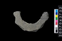 藏品(石環製作材料-周緣修整石環粗胚)的圖片