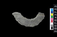 藏品(石環製作材料-周緣修整石環粗胚)的圖片