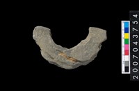 藏品(石環製作材料-周緣修整石環粗胚)的圖片