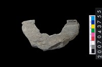 藏品(石環製作材料-周緣修整石環粗胚)的圖片