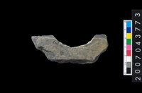 藏品(石環製作材料-周緣修整石環粗胚)的圖片