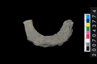 藏品(石環製作材料-周緣修整石環粗胚)的圖片