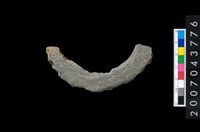 藏品(石環製作材料-周緣修整石環粗胚)的圖片