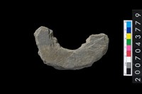 藏品(石環製作材料-周緣修整石環粗胚)的圖片