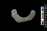 藏品(石環製作材料-周緣修整石環粗胚)的圖片