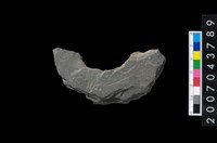 藏品(石環製作材料-周緣修整石環粗胚)的圖片