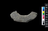 藏品(石環製作材料-周緣修整石環粗胚)的圖片