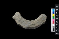 藏品(石環製作材料-周緣修整石環粗胚)的圖片