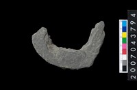 藏品(石環製作材料-旋截圓環粗胚殘件)的圖片