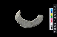 藏品(石環製作材料-周緣修整石環粗胚)的圖片