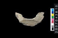 藏品(石環製作材料-周緣修整石環粗胚)的圖片