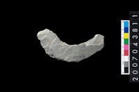 藏品(石環製作材料-周緣修整石環粗胚)的圖片