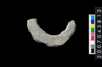 藏品(石環製作材料-周緣修整石環粗胚)的圖片