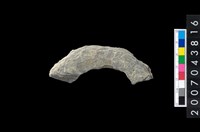 藏品(石環製作材料-旋截圓環粗胚殘件)的圖片