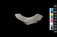 藏品(石環製作材料-周緣修整石環粗胚)的圖片