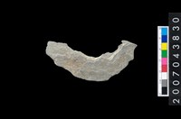 藏品(石環製作材料－周緣修整石環粗胚)的圖片