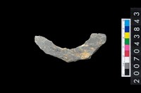 藏品(石環製作材料-周緣修整石環粗胚)的圖片