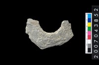 藏品(石環製作材料-周緣修整石環粗胚)的圖片