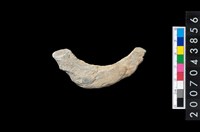 藏品(石環製作材料-周緣修整石環粗胚)的圖片