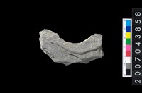 藏品(石環製作材料-周緣修整石環粗胚)的圖片