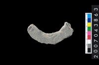 藏品(石環製作材料-周緣修整石環粗胚)的圖片