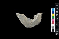 藏品(石環製作材料-旋截圓環粗胚殘件)的圖片