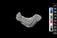 藏品(石環製作材料-周緣修整石環粗胚)的圖片