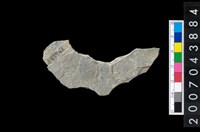 藏品(石環製作材料－周緣修整石環粗胚)的圖片