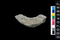 藏品(石環製作材料－周緣修整石環粗胚)的圖片