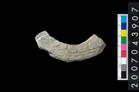 藏品(石環製作材料－周緣修整石環粗胚)的圖片