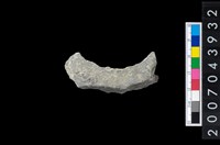 藏品(石環製作材料－周緣修整石環粗胚)的圖片