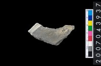 藏品(石環製作材料-周緣修整石環粗胚)的圖片