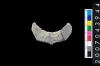 藏品(石環製作材料-周緣修整石環粗胚)的圖片