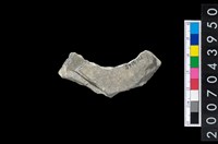 藏品(石環製作材料-周緣修整石環粗胚)的圖片