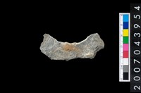 藏品(石環製作材料-周緣修整石環粗胚)的圖片