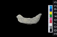 藏品(石環製作材料-周緣修整石環粗胚)的圖片