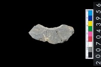 藏品(石環製作材料-周緣修整石環粗胚)的圖片