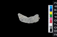 藏品(石環製作材料-周緣修整石環粗胚)的圖片