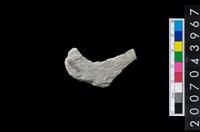 藏品(石環製作材料-旋截圓環粗胚)的圖片