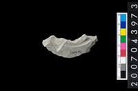 藏品(石環製作材料-旋截圓環粗胚)的圖片