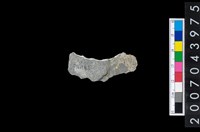 藏品(石環製作材料-旋截圓環粗胚)的圖片